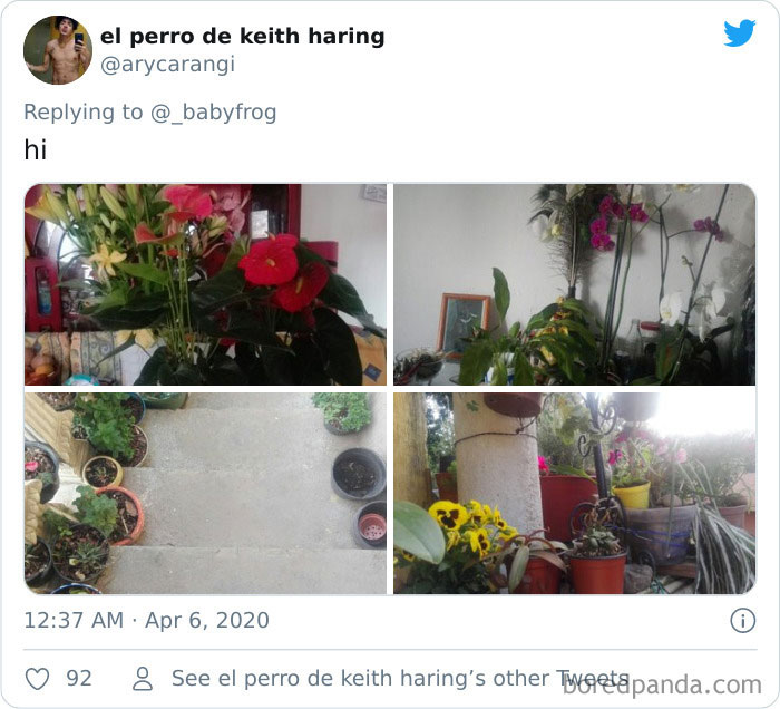 Plants-Obsession-Illustration-Cecile-Dormeau