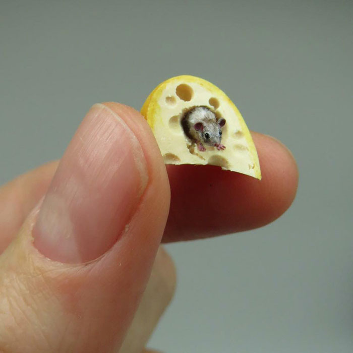 Tiny-Dollhouse-Animals-Miniatures-Fanni-Sandor