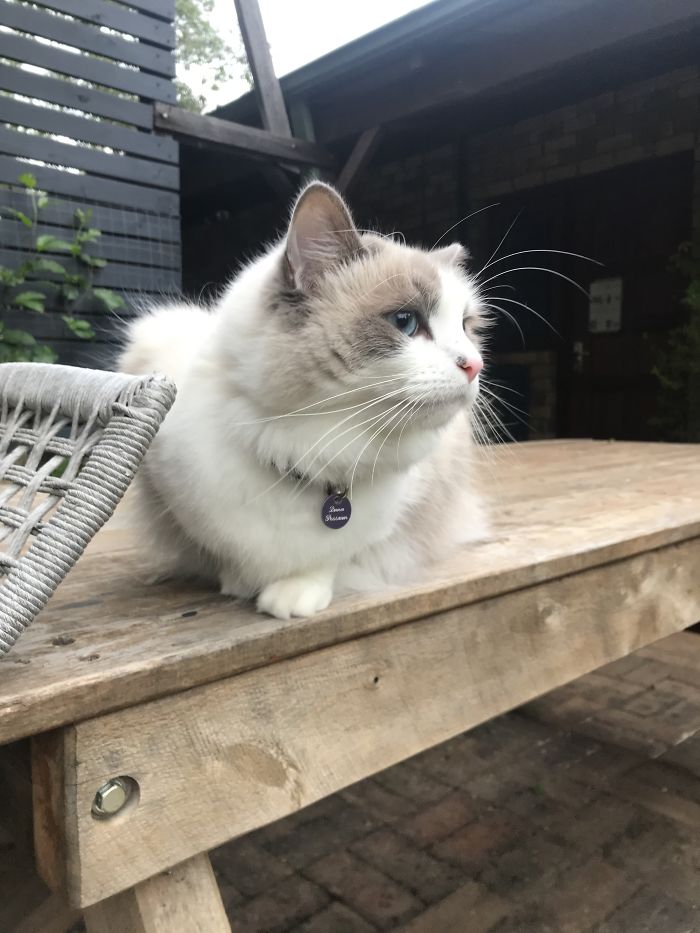 Rescued Her After Her Mum Was Chucked In A Bin When Found Pregnant. She Had Feeding Problems And Couldn’t Swallow