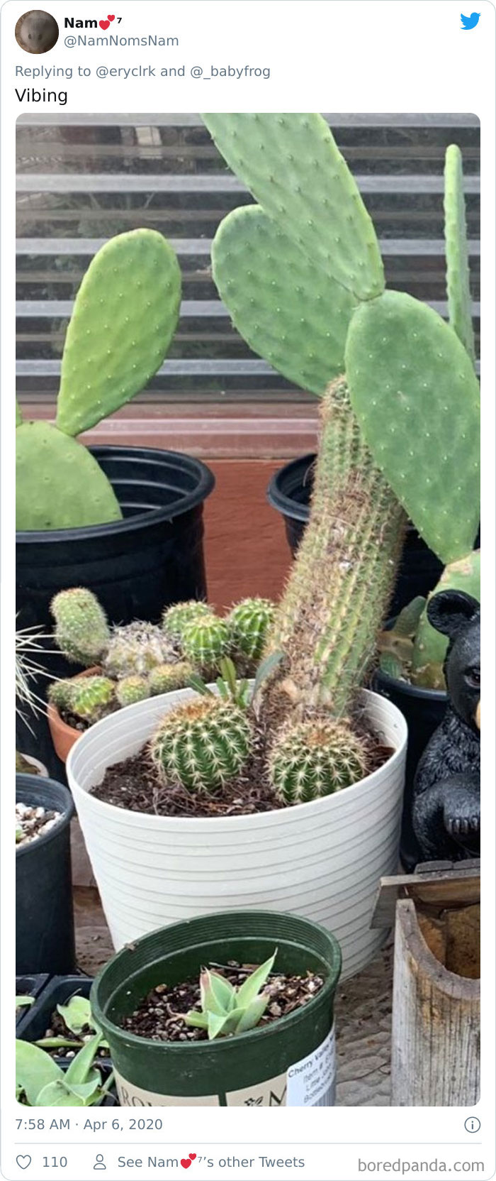 Plants-Obsession-Illustration-Cecile-Dormeau