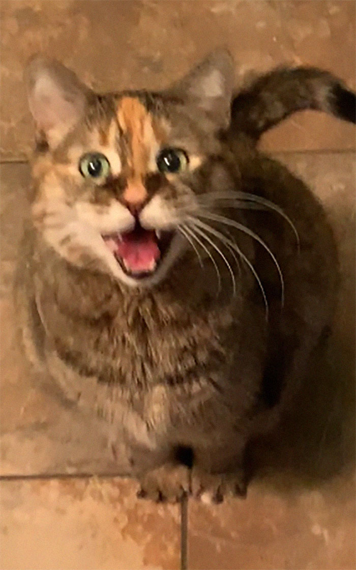 She Yells Until We Lift Her Up To The Sink