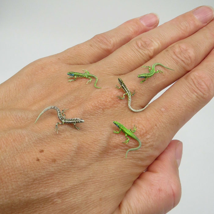 Tiny-Dollhouse-Animals-Miniatures-Fanni-Sandor