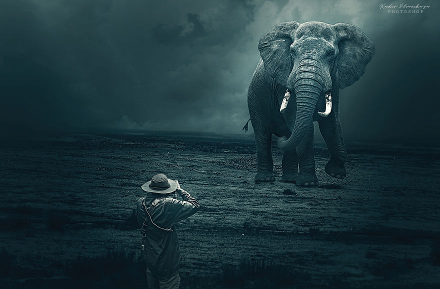 I Create These Photo Manipulations With Animals And Nature (10 Pics)