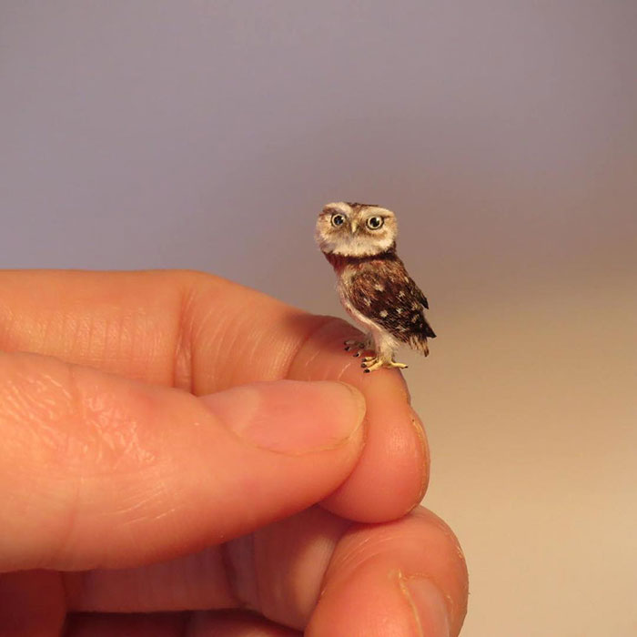 Tiny-Dollhouse-Animals-Miniatures-Fanni-Sandor