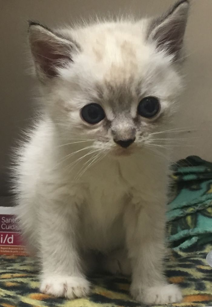 Was Cold And Alone Outside, Now I Have A Brother To Snuggle With