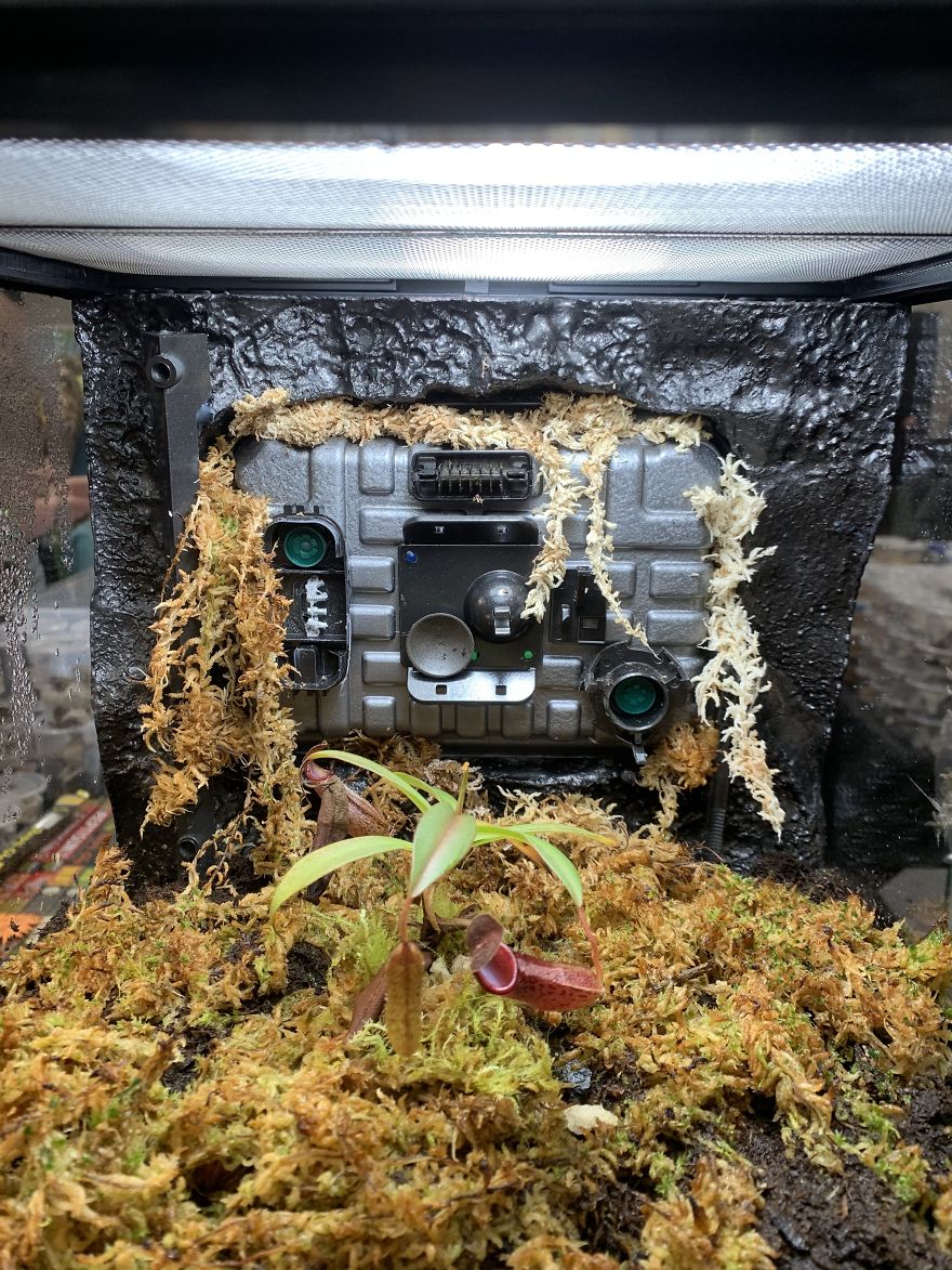 I Visited Texas Triffid Ranch: Dallas’s Carnivorous Plant Gallery (14 Pics)