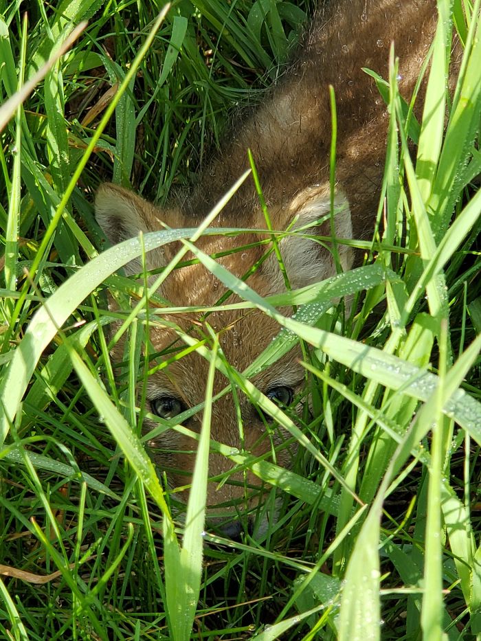 Out Fishing, Nearly Stepped On Him