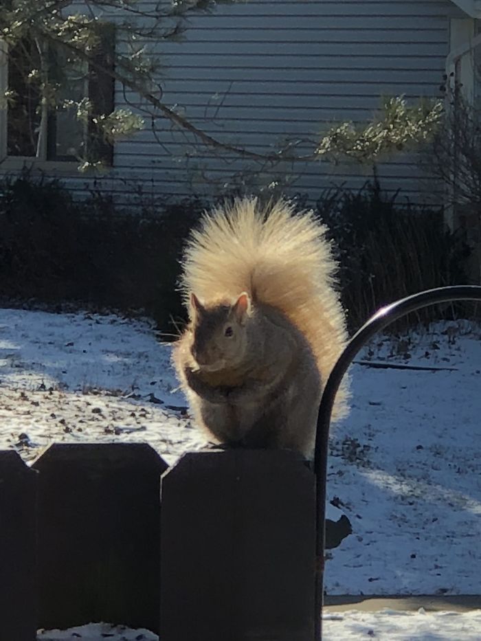 I Know It’s Ridiculous But I’m Really Gonna Miss This Guy When We Move Next Week. He’s Been A Constant Yard Friend For The Last 7 Years