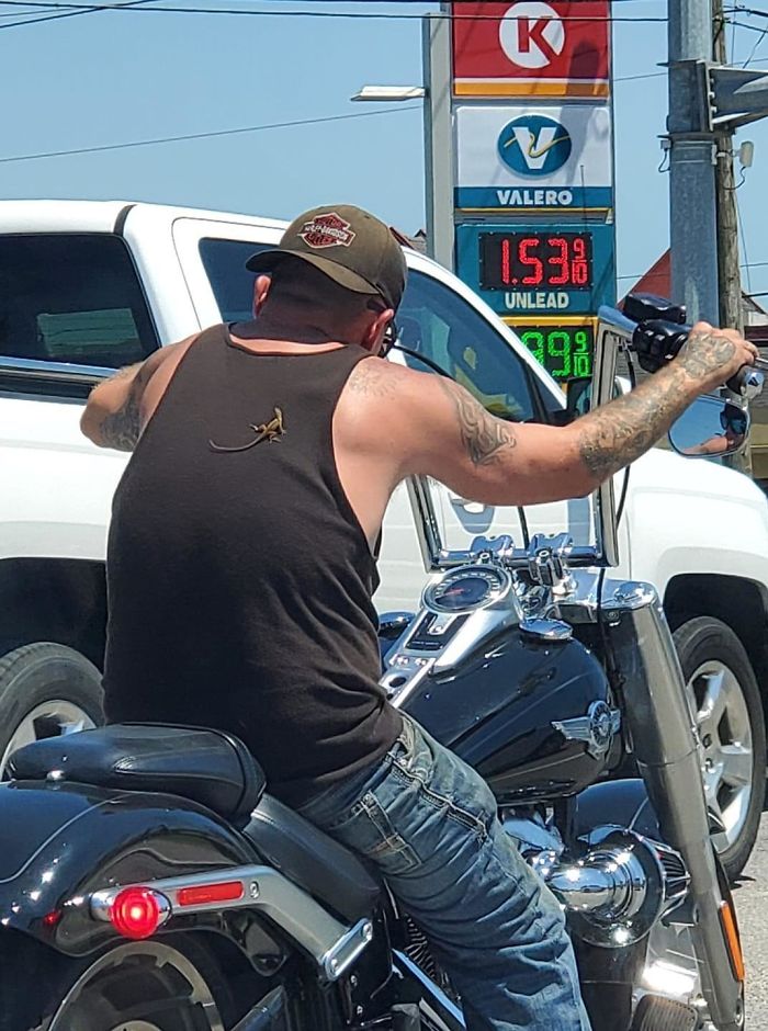 Wow. I Have Never Seen An Insurance Company Have A Person's Back More Than This