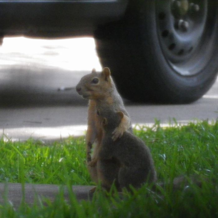 Son When I Was Your Age...