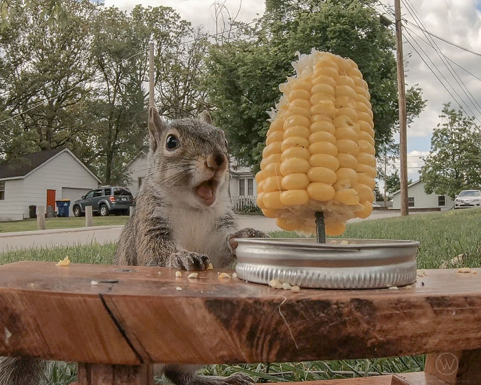 Look At His Face. He's Not Even Eating, So You Can't Say, "Oh, His Mouth Is Open Cause It's Chewing"
