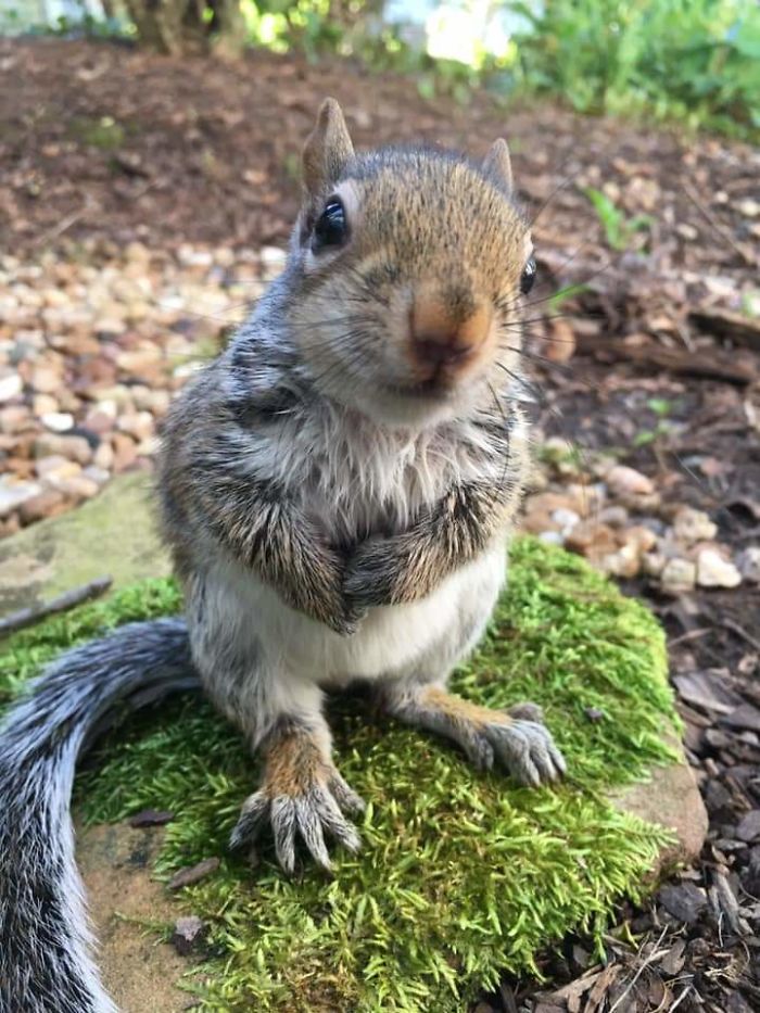 Her Name Is Porky And She Is A Doll