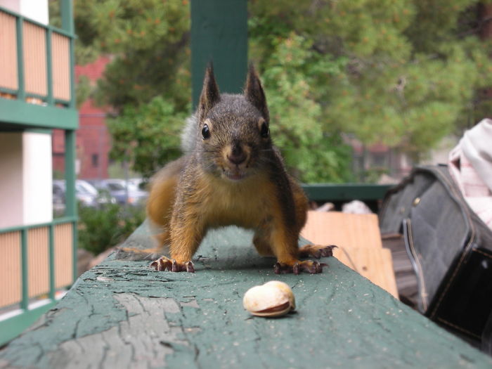 Look At His Little Smile