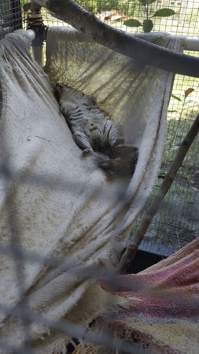 After A Hard Day’s Work