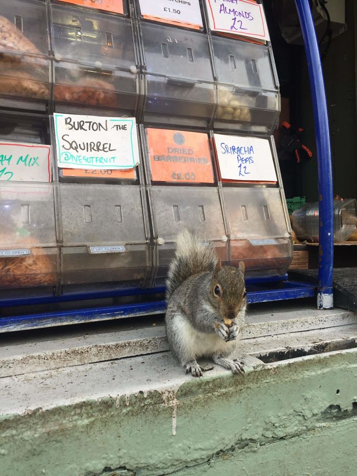 Thought This Guy Was Stealing Nuts From A Fruit/Nut Stand, Turns Out He Has His Own Box