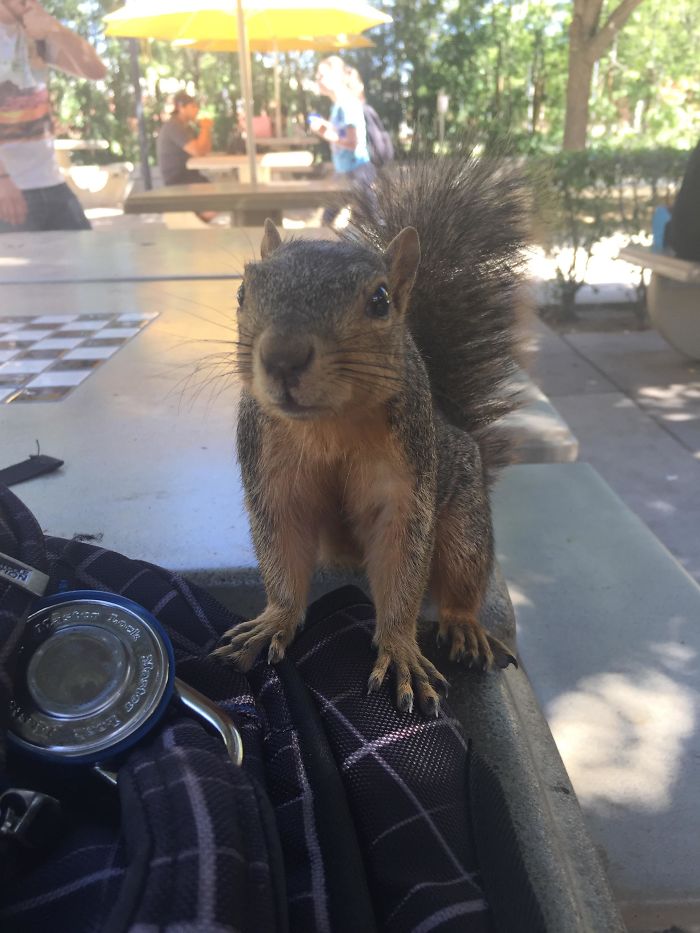 I Was Eating A Banana Nut Muffin On Campus Today, When All Of A Sudden