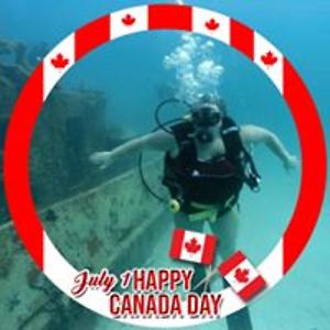 syphonicwater avatar