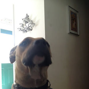 sheilawilson_1 avatar