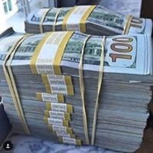 visaprocess313 avatar