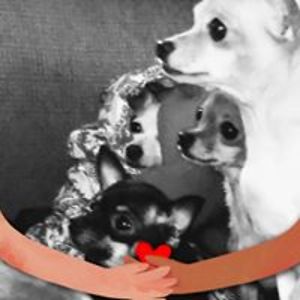 sandi_mccarthy avatar