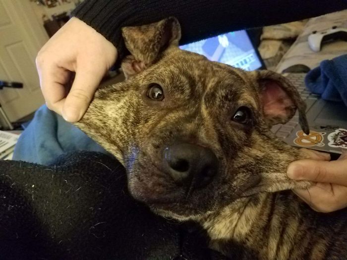 He Has A Stretchy Face