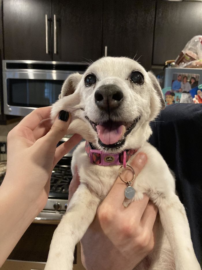 I’d Say She Qualifies