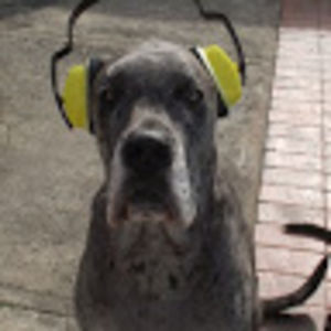 mrharleythedevil avatar