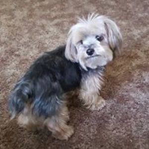 barbmcdiffitt avatar