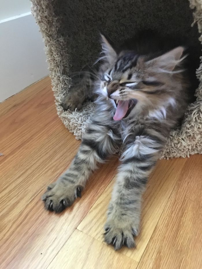 Look Out! He’s Armed!!