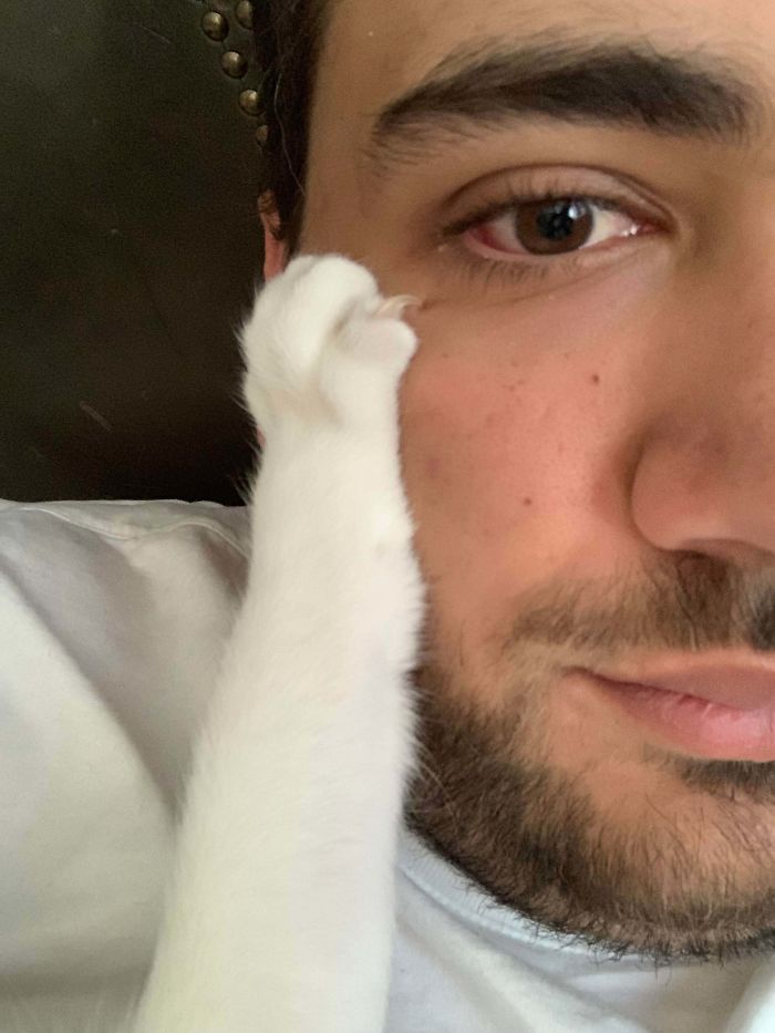 He Didn't Want Me To Stand Up