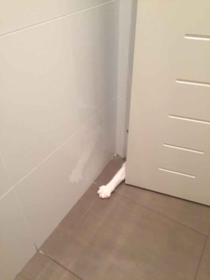 Peeing Alone Is Not Allowed