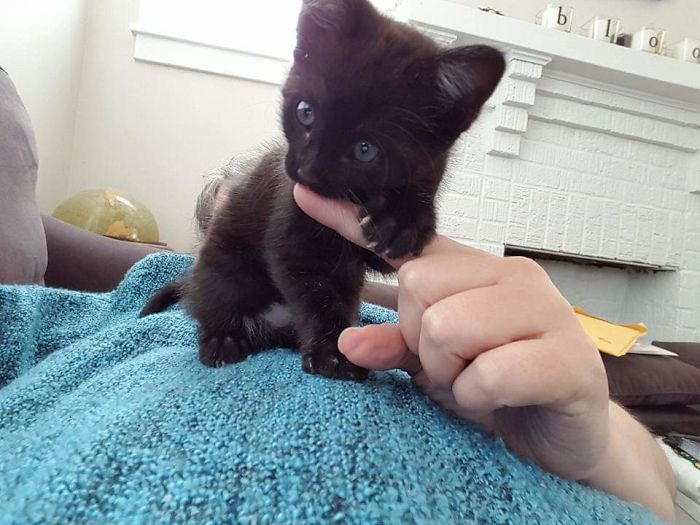 It's Been 2 Years Since This Tiny Terror Came Into Our Lives. All Hail The Great Googly-Moogly!