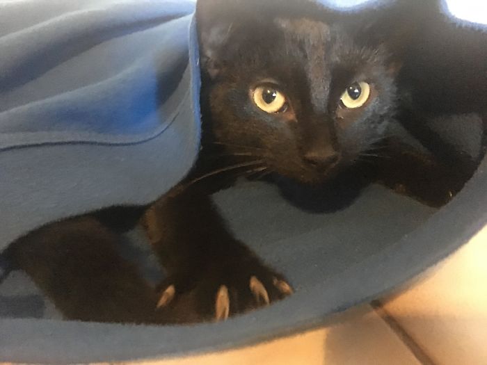 7 Month Old Girl Ready To Murder Anyone Who Touches Her New Hoodie.