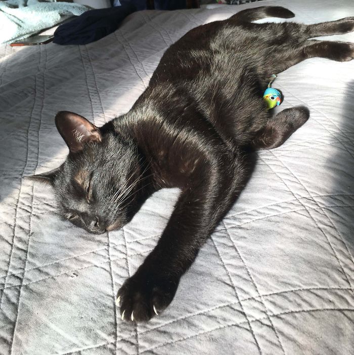 Murder In Broad Daylight