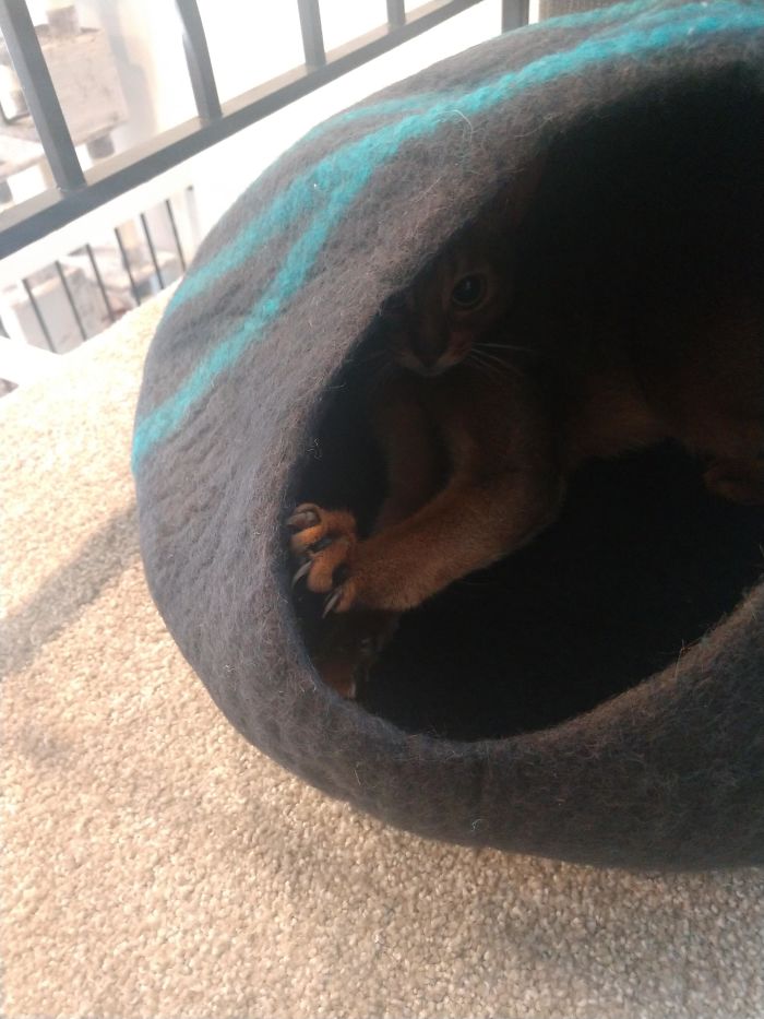 A Risky Picture, Very Close To Her Den...