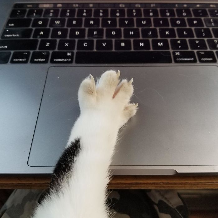 Working From Home During #covid19 Outbreak Has Its Perks.