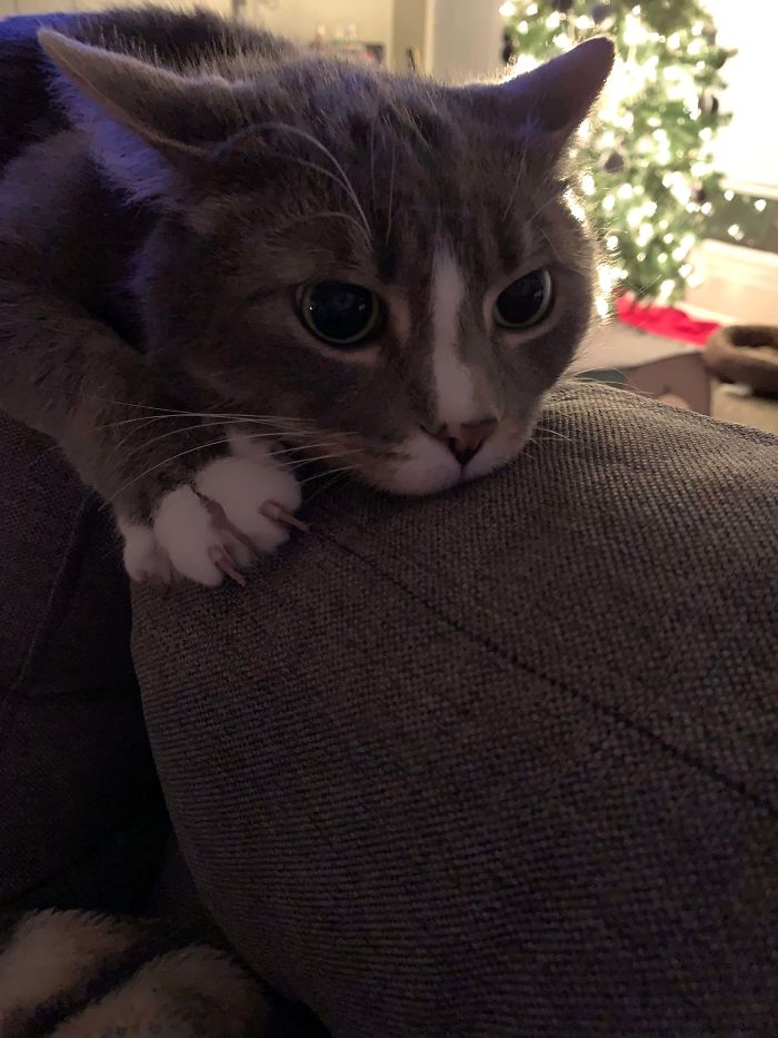 Jason Has The Best Xmas Murder Mittens 🎄