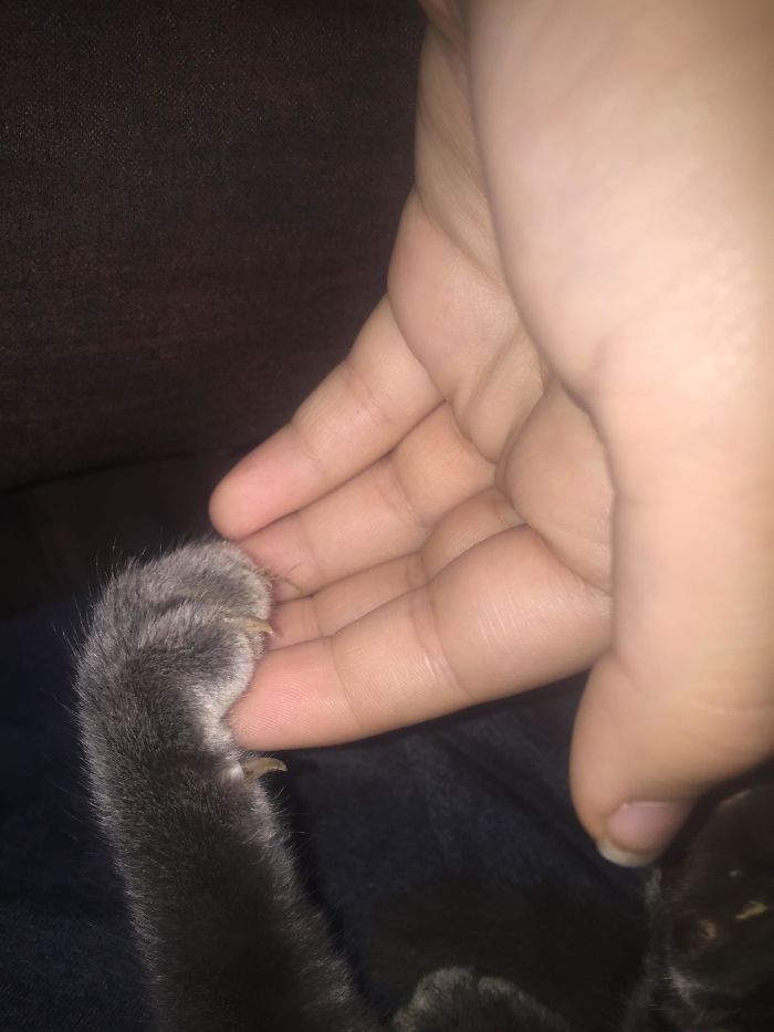 *visciously Holds Hand*