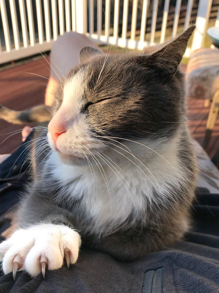 This Shot Was Worth The Claw In My Nip