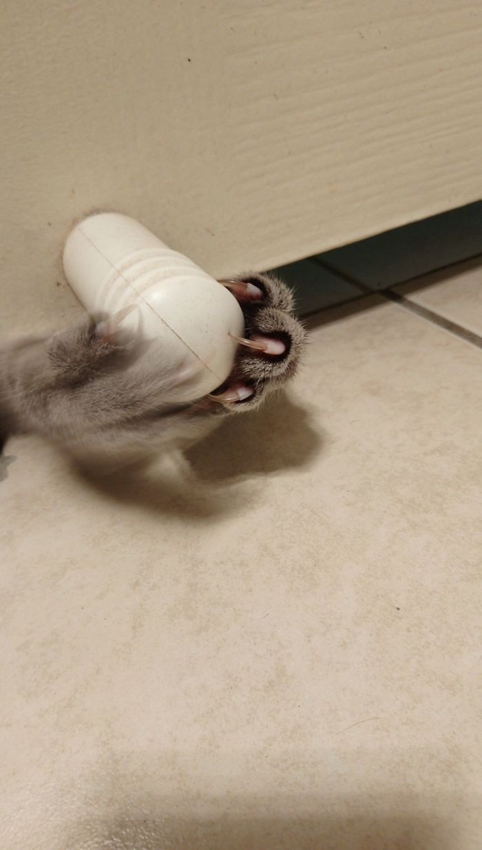 Was Just Tryna Have A Shower