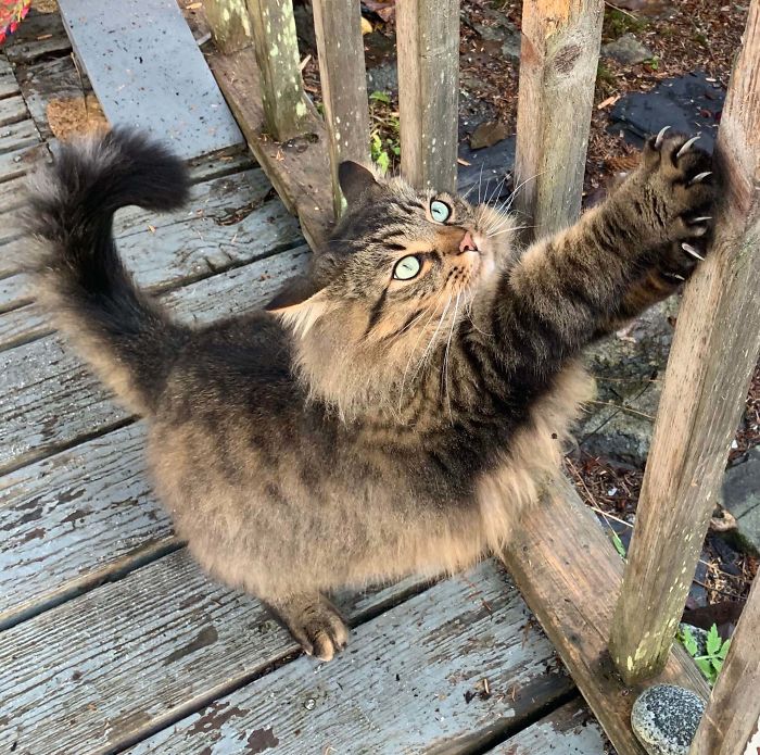 Sharpening For Future Murders