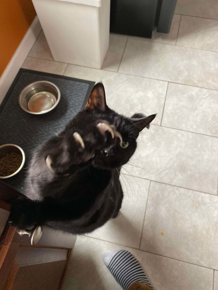 Will Murder For Food.