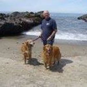 whitneyshaven avatar