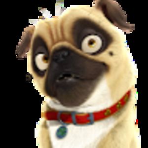 gretchenbrookman avatar