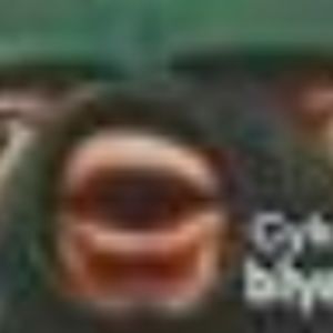 braydensaucier avatar