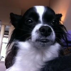 darrellmary111 avatar