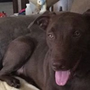 millie_sheltman avatar