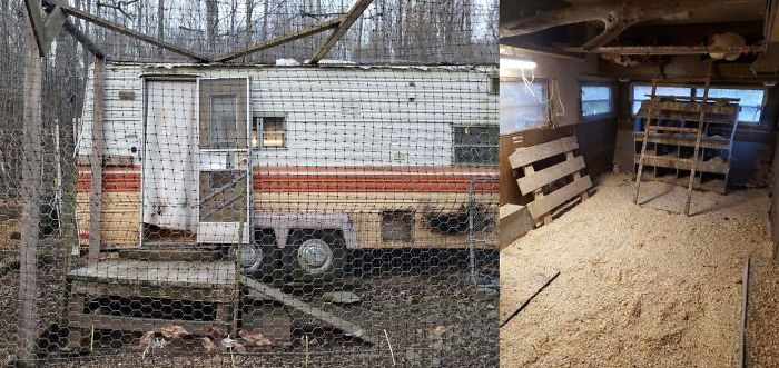 Creative-Chicken-Coops-Designs