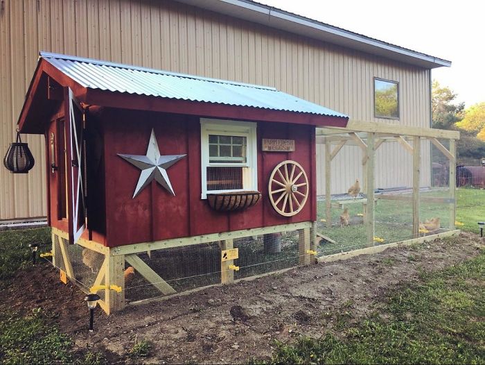 Creative-Chicken-Coops-Designs