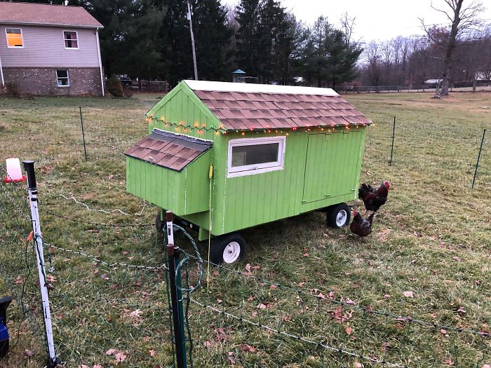 Creative-Chicken-Coops-Designs